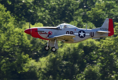 Top RC P-51D Mustang Scale RC Plane 89" - BLONDIE
